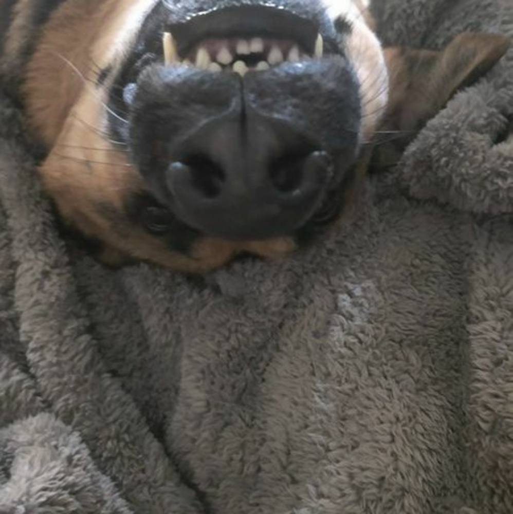 Meet your Posher, Dominique